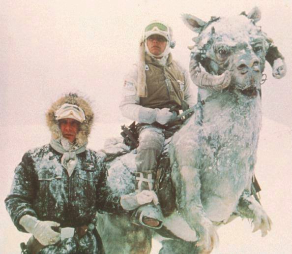 tauntaun.jpg