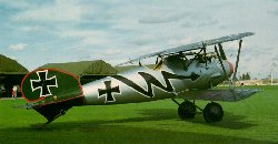 Albatros DVa