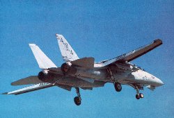 Grumman F-14