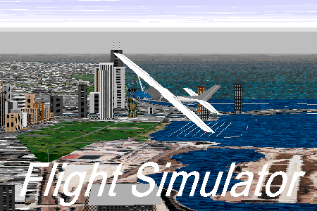 Flight Simulator