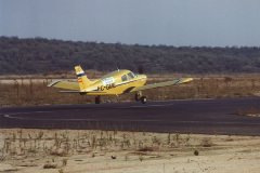 Piper PA-28 Pollito